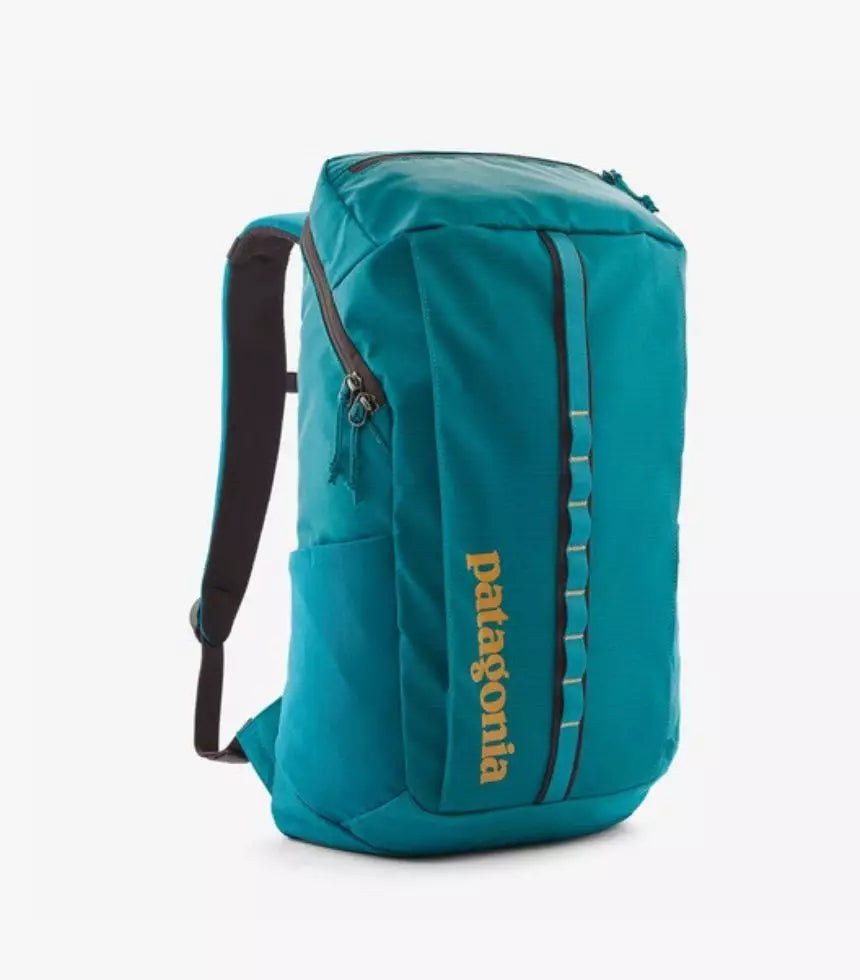 Patagonia Black Hole Pack